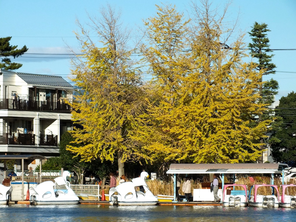 d0242629_2337189.jpg