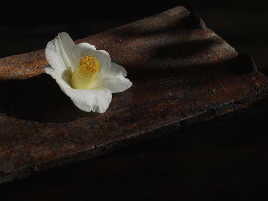 20100202.jpg