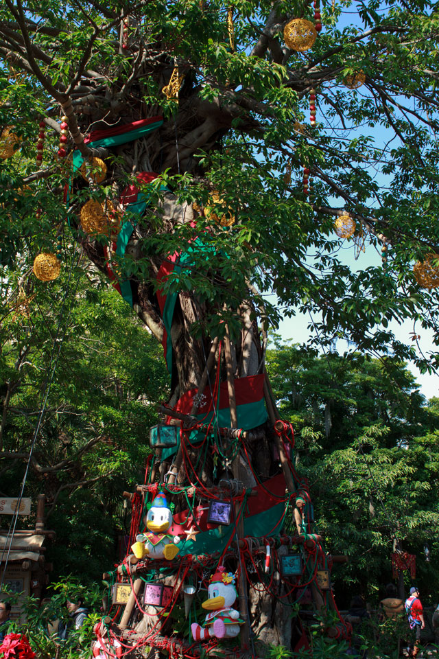 2012年 東京ディズニーシー クリスマスウィッシュ その1_a0016730_1616419.jpg