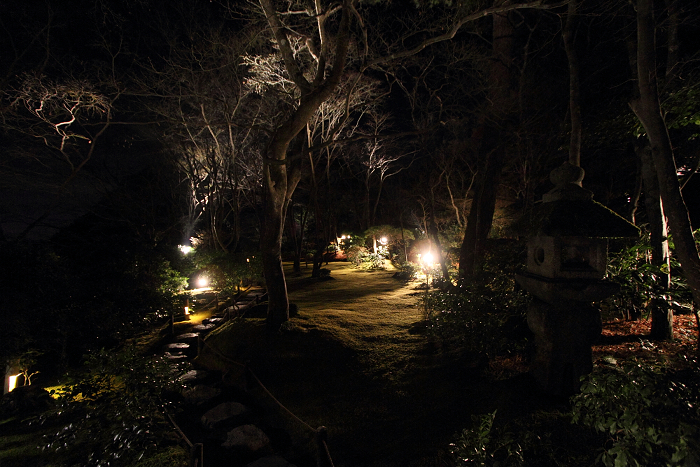 嵐山花灯路2010 －大河内山荘－_b0169330_22172118.jpg