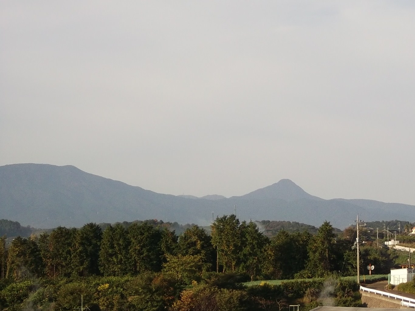 まい~ふあーむ...こんな菜園です。_b0137932_20393317.jpg