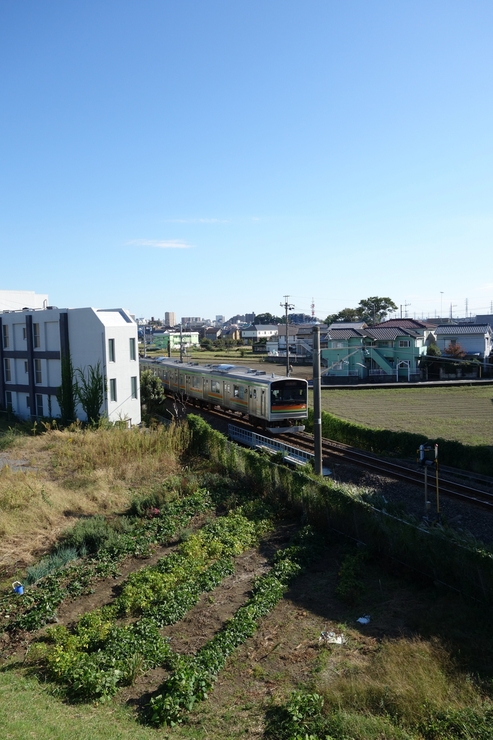 小江戸　川越その5～菓子屋横丁_a0287336_201987.jpg