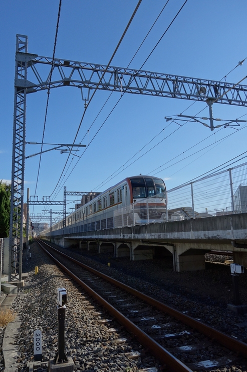 a0287336_20271397.jpg