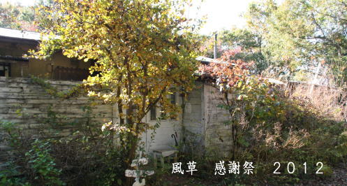 f0200036_8474522.jpg