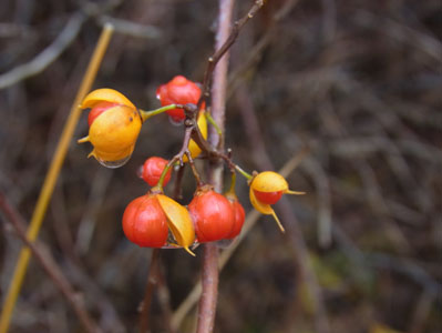 f0206939_19134763.jpg