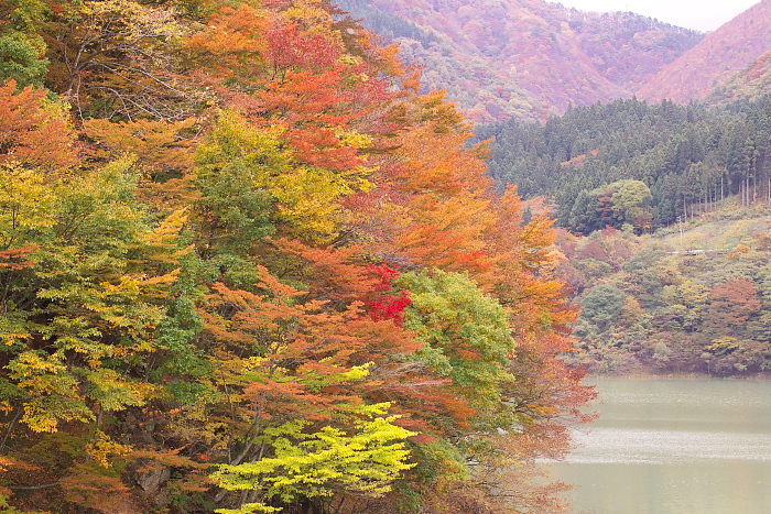 湖岸の秋_c0180845_1354723.jpg