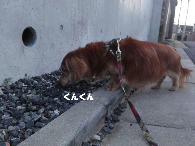 c0121550_20161657.jpg