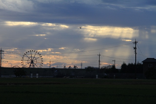 c0155950_04206.jpg