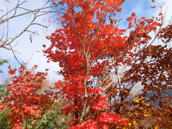 c0097754_1135775.jpg
