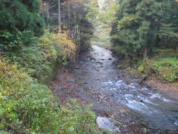 c0097754_1145940.jpg