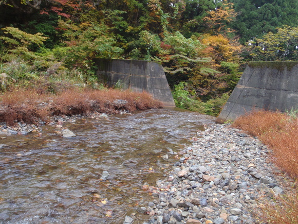 c0097754_11475821.jpg