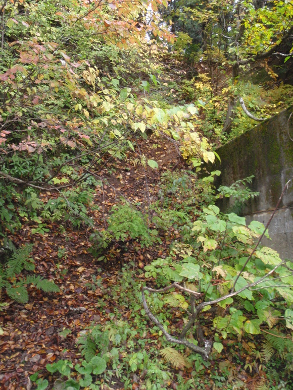 c0097754_11492075.jpg