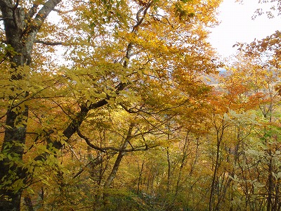 c0097754_1154345.jpg