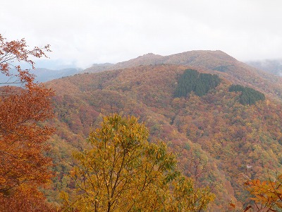 c0097754_11572341.jpg