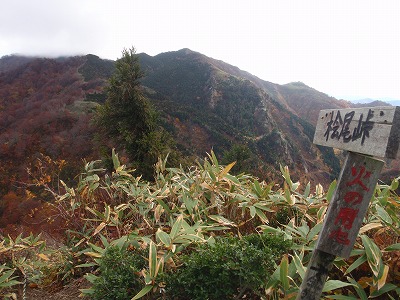 c0097754_120333.jpg