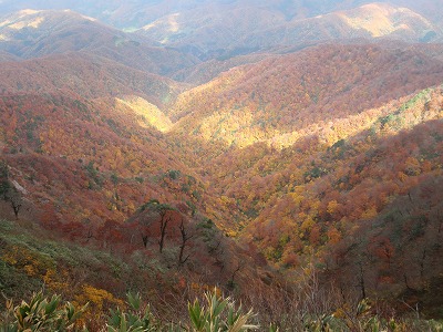c0097754_1231626.jpg