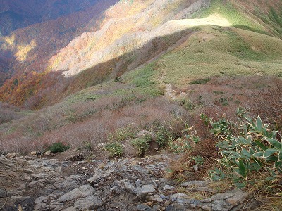 c0097754_1275389.jpg