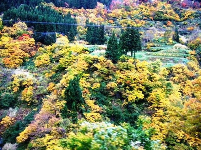 c0111557_19103667.jpg
