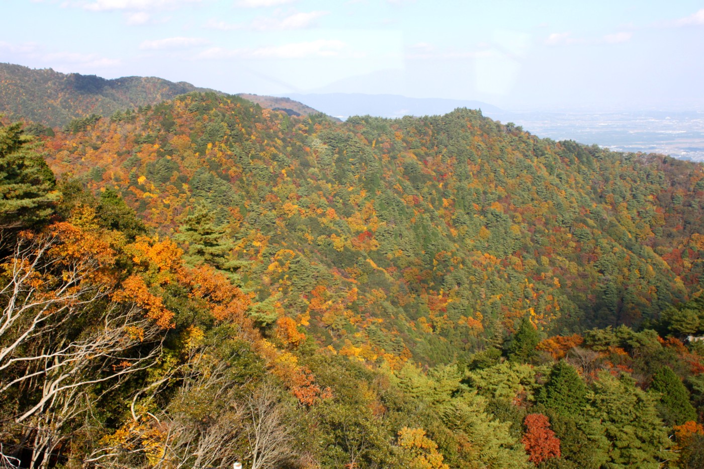 d0161959_1721777.jpg