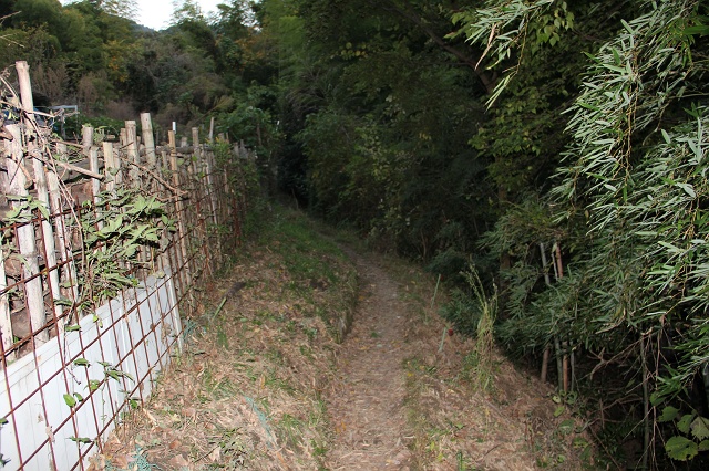 田中薬師堂跡と、熊崎田中地蔵堂・イチョウの木と、矢野の街を望む光景_b0095061_151093.jpg