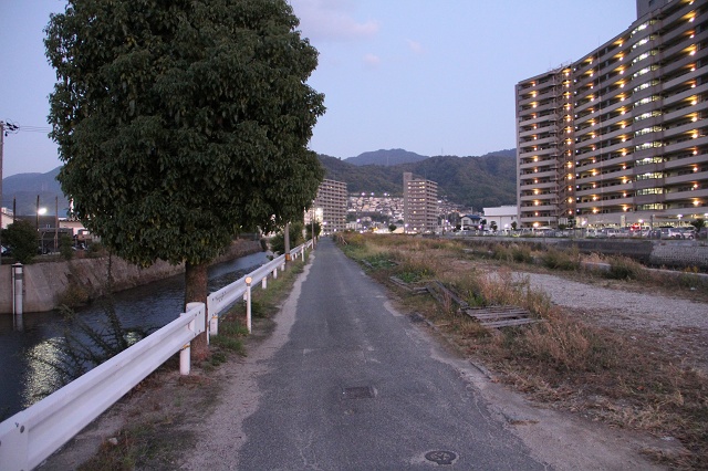 b0095061_15313858.jpg