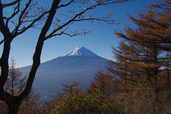 紅葉と富士山に酔いしれて！_d0164761_8462644.jpg