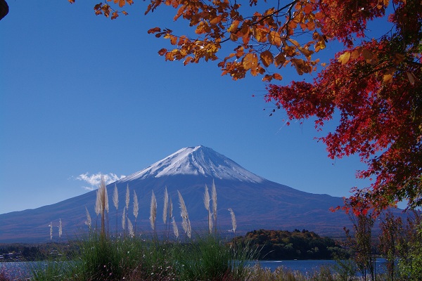 紅葉と富士山に酔いしれて！_d0164761_97519.jpg