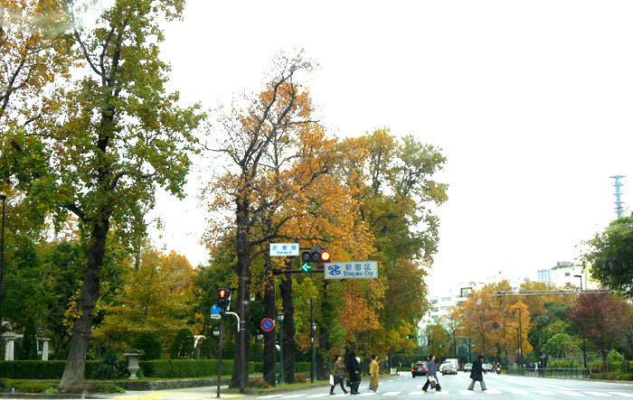a0053063_043537.jpg