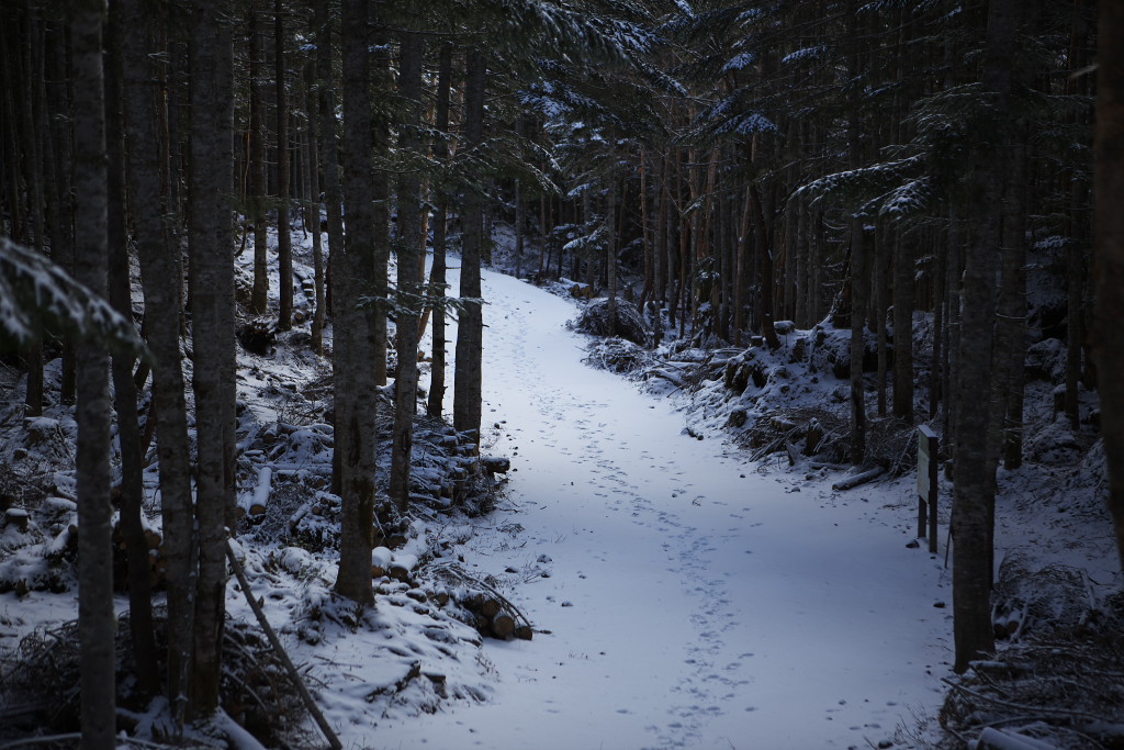 f0171065_21435432.jpg
