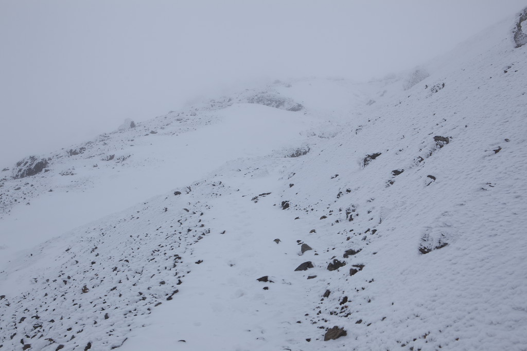 f0171065_22541894.jpg