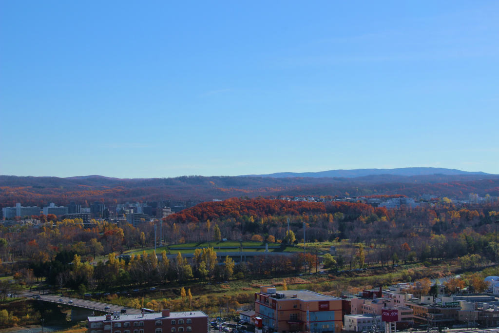 b0146166_8492541.jpg