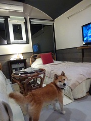 e0160568_13402988.jpg