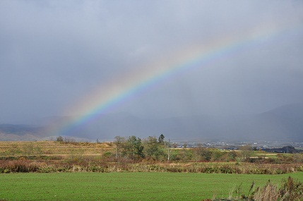 f0221369_21553174.jpg