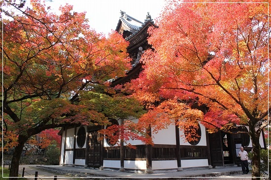 宝福寺からまきび公園_f0191370_2365828.jpg