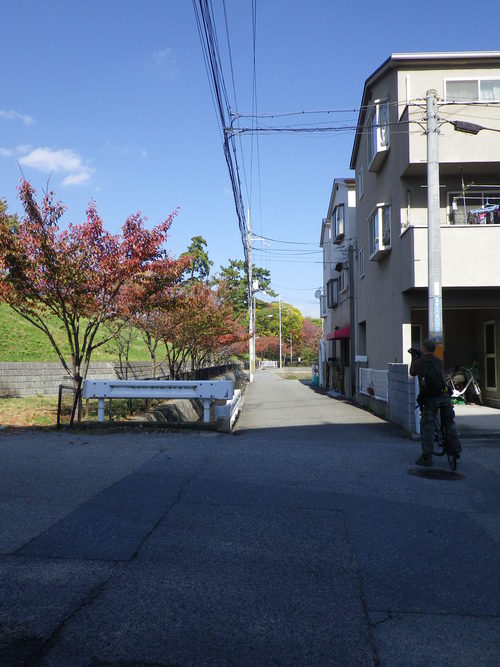 e0143671_1431932.jpg