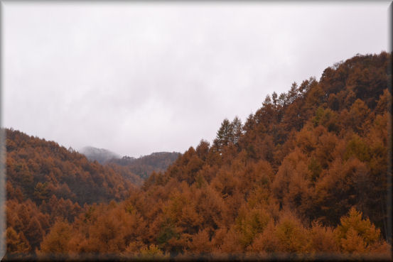 e0099375_10405349.jpg