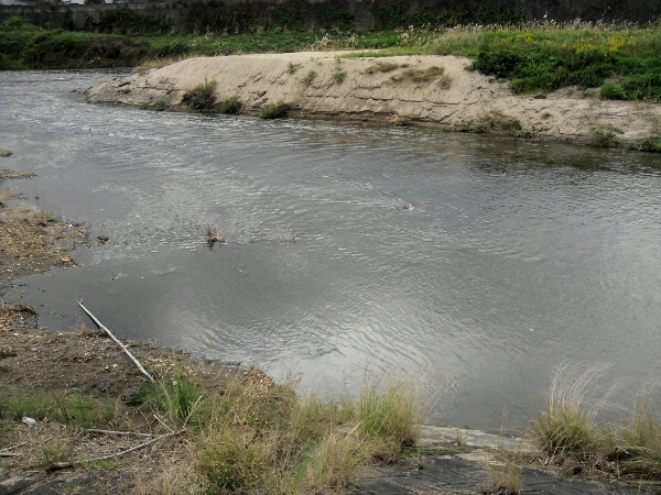 e0255775_12592619.jpg