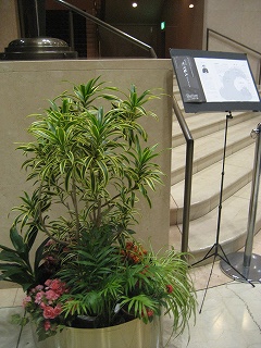 c0229483_2249714.jpg