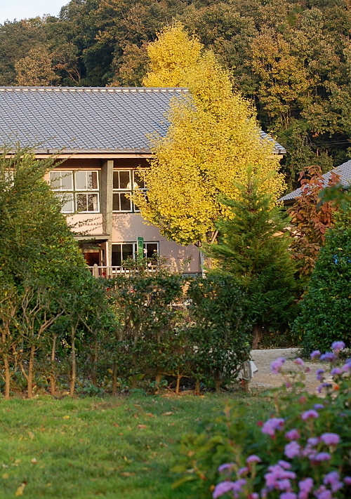 d0179983_220959.jpg