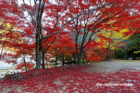 裏豪渓（総社市）の紅葉　2012_c0083985_18543782.jpg