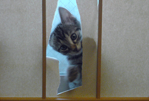 c0193788_15233086.gif