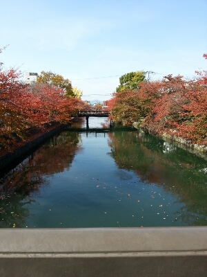 京都へ_c0204289_1339828.jpg