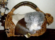 e0147890_16442046.jpg