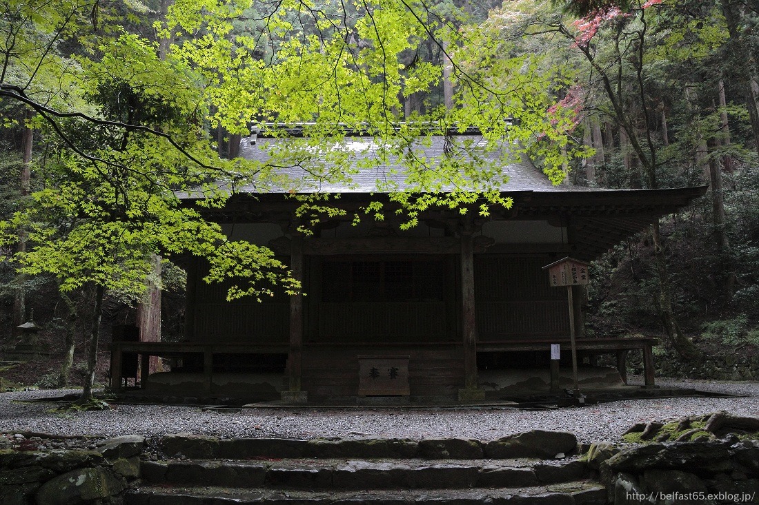 高山寺の紅葉_f0095094_220626.jpg