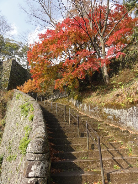 紅葉を見に竹田・岡城へ♪_f0209394_23133668.jpg