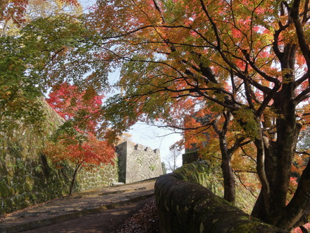 紅葉を見に竹田・岡城へ♪_f0209394_23152014.jpg