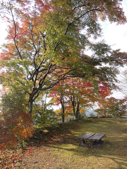 紅葉を見に竹田・岡城へ♪_f0209394_2322146.jpg