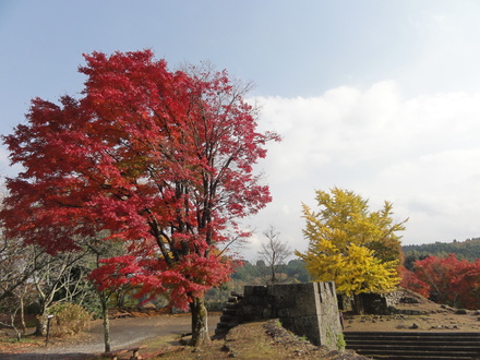 紅葉を見に竹田・岡城へ♪_f0209394_23241437.jpg