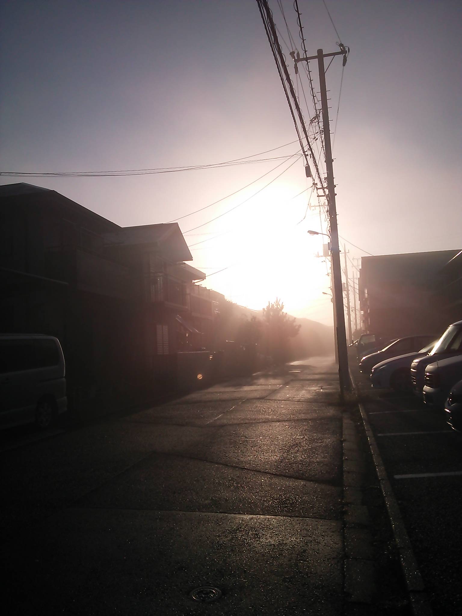 f0122998_8274883.jpg