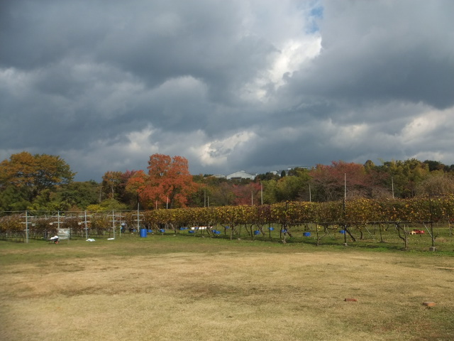 a0271502_19464888.jpg